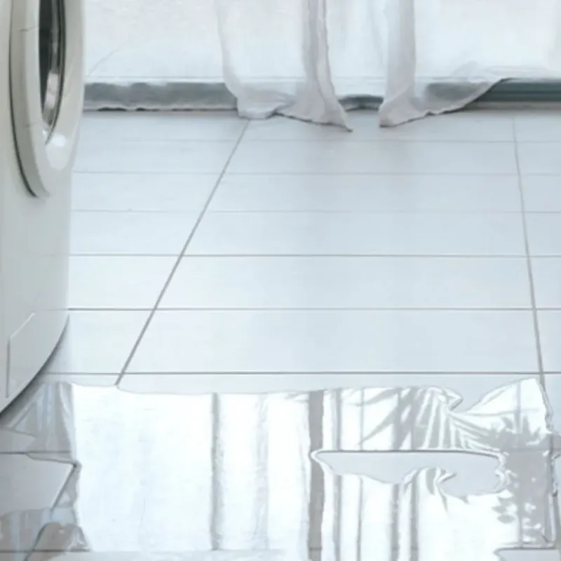 Appliance Leak Cleanup in Oneida County, WI