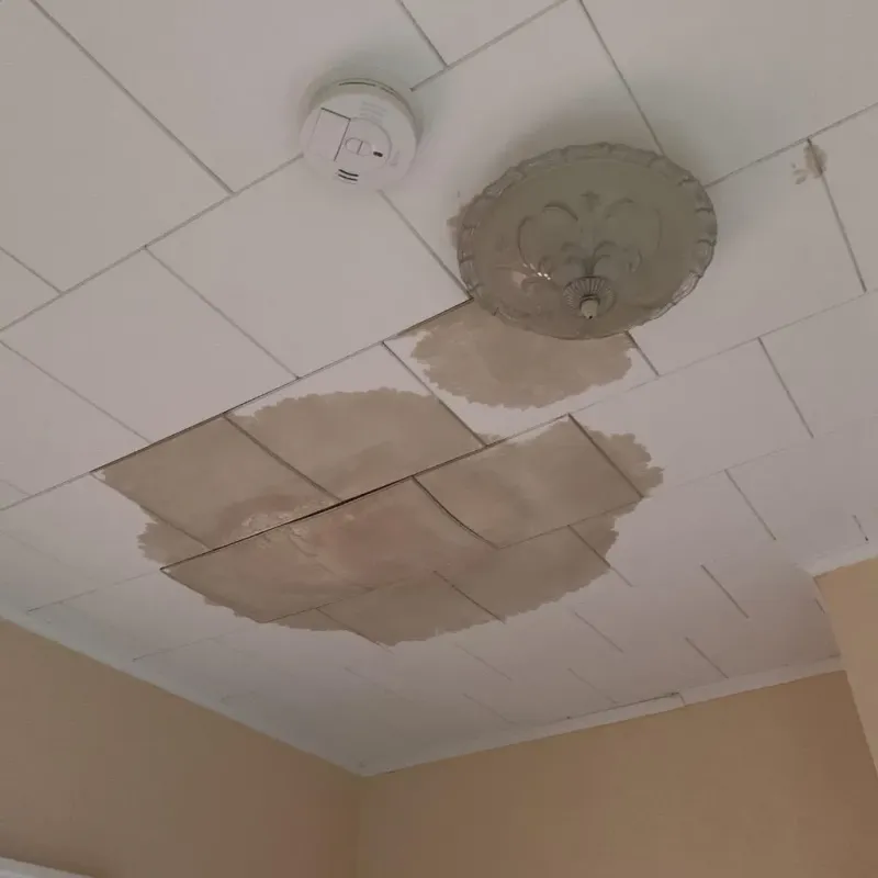 Ceiling Water Damage Repair in Oneida County, WI