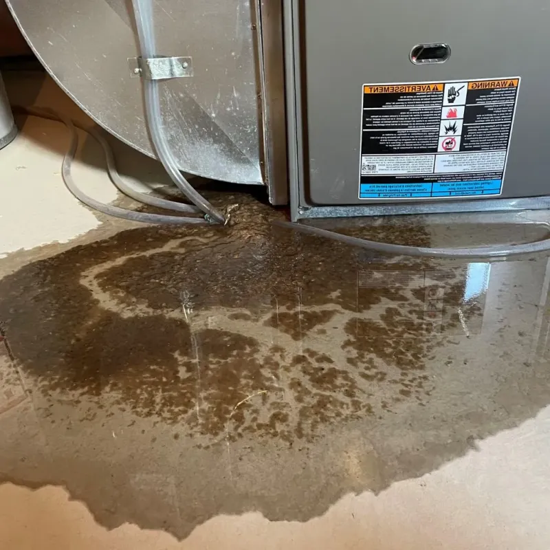 Pipe Burst and Leak Restoration in Oneida County, WI